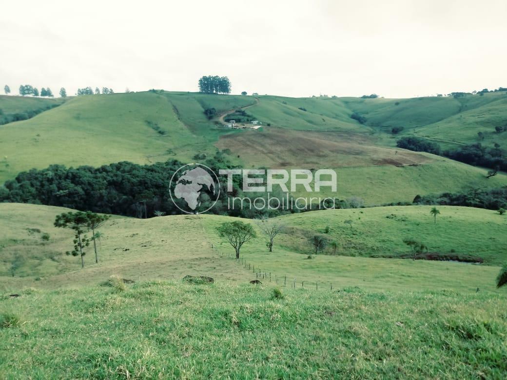 LEITERIA E FABRICA DE CACHAA