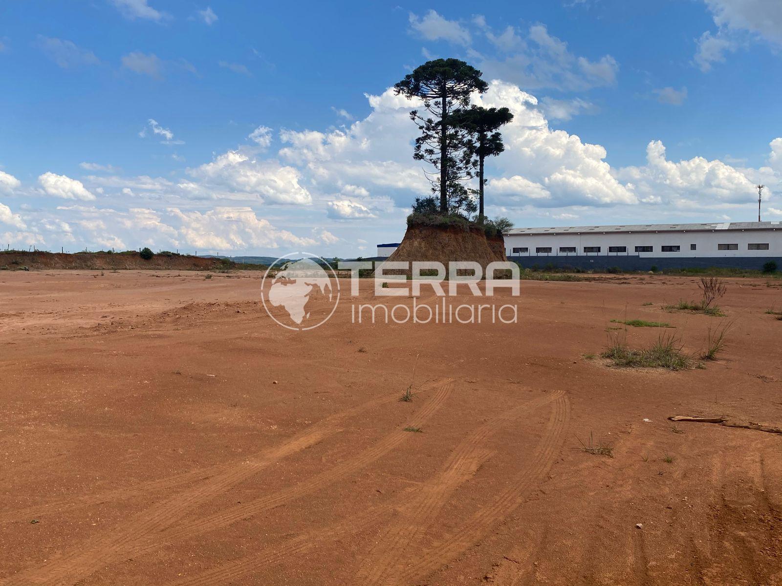 Mundo Terra Imóveis