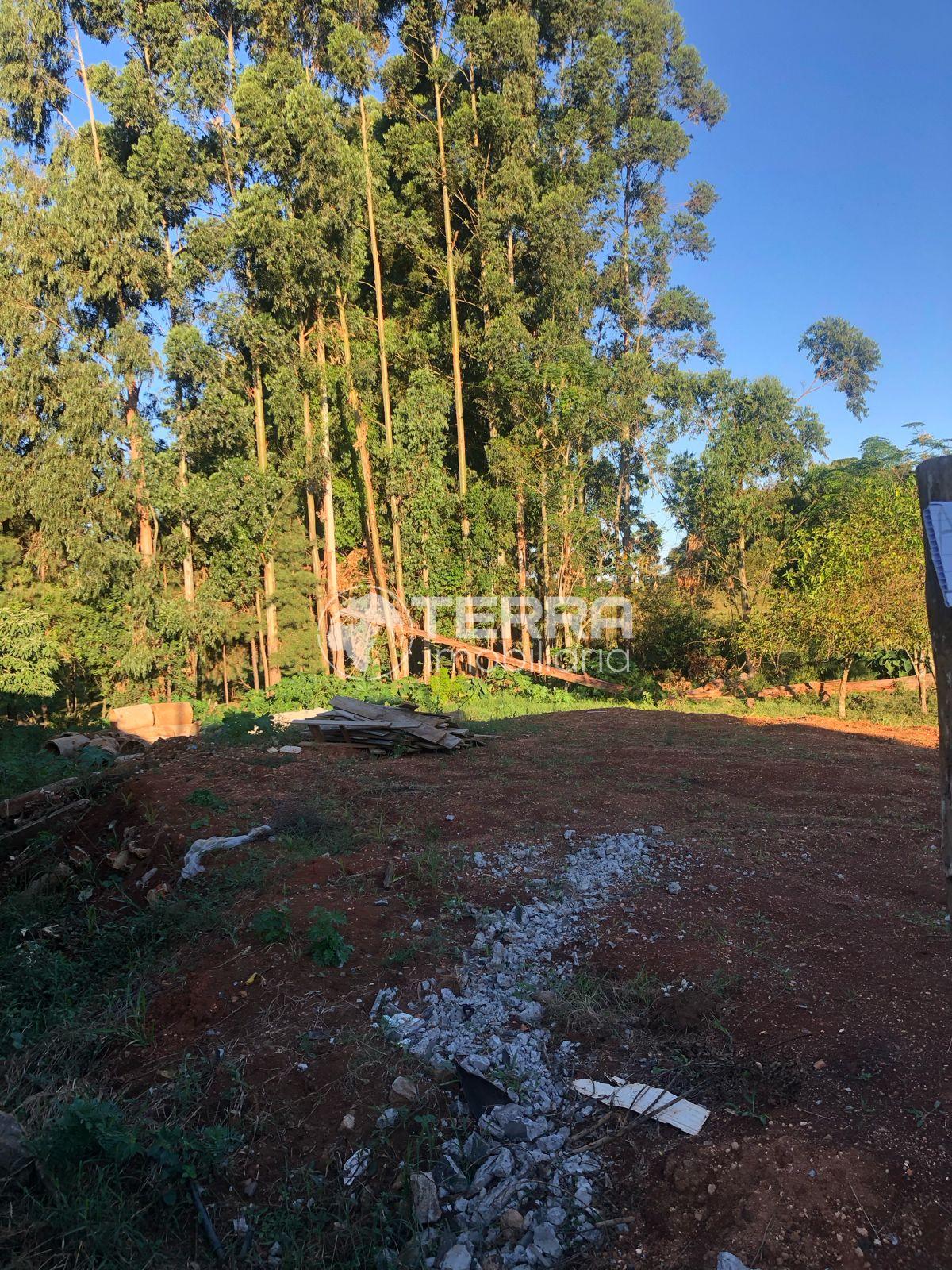 Terreno  venda, JARDIM DAS AMRICAS, GUARAPUAVA - PR