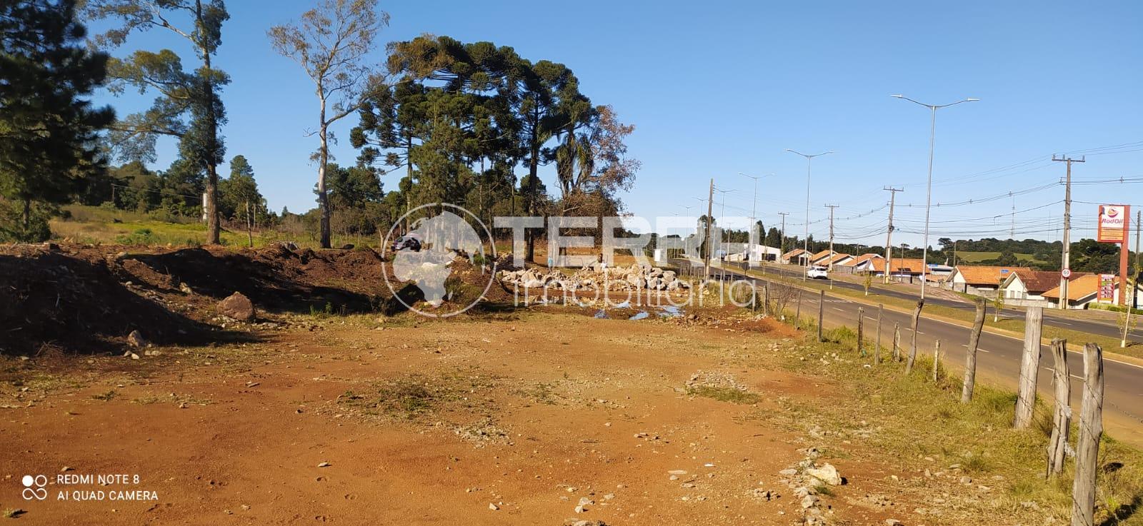 Rural  venda, MORRO ALTO, GUARAPUAVA - PR