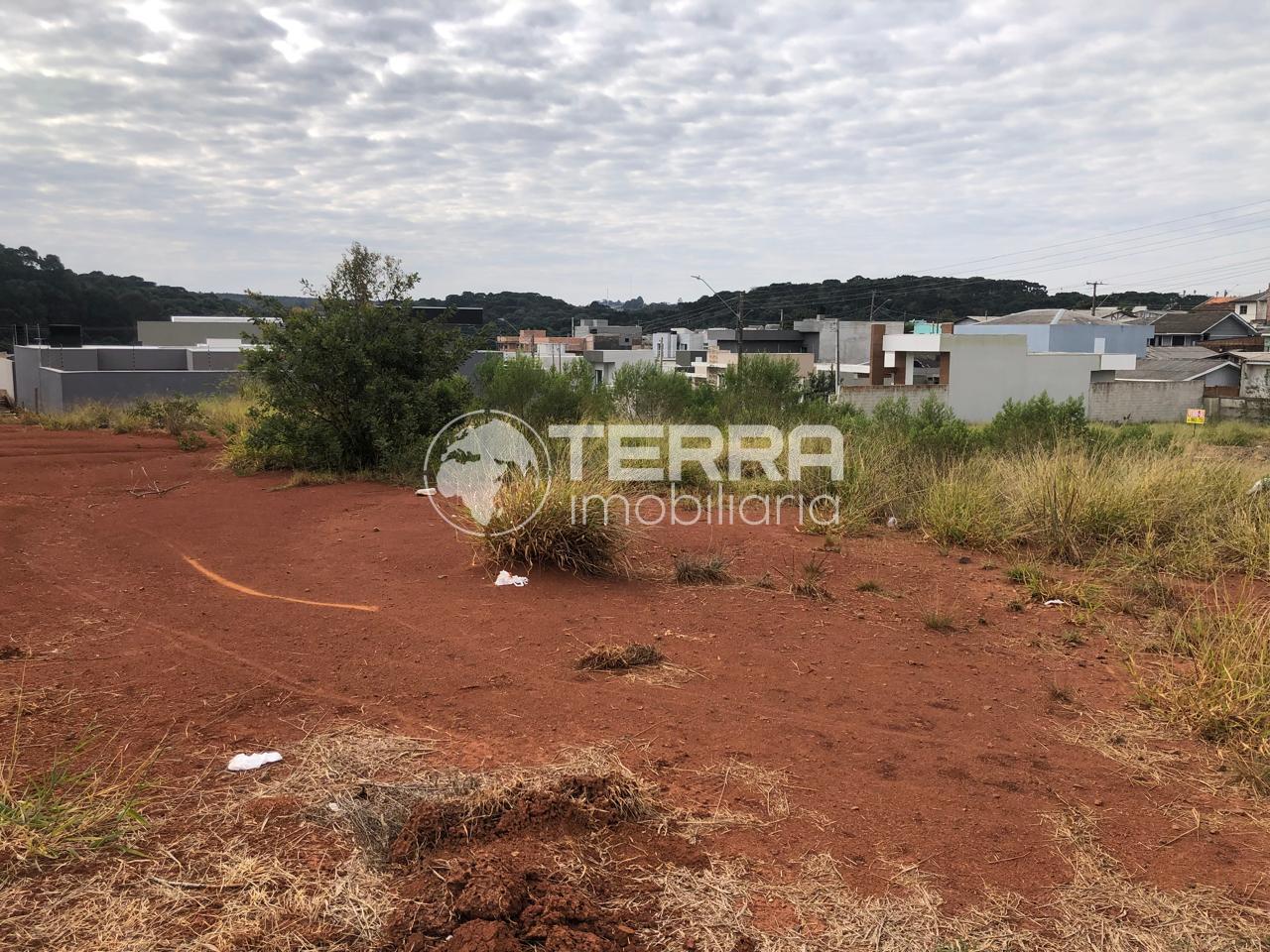 TIMO TERRENO A VENDA NO BAIRRO SAO CRISTOVAO - GUARAPUAVA-PR