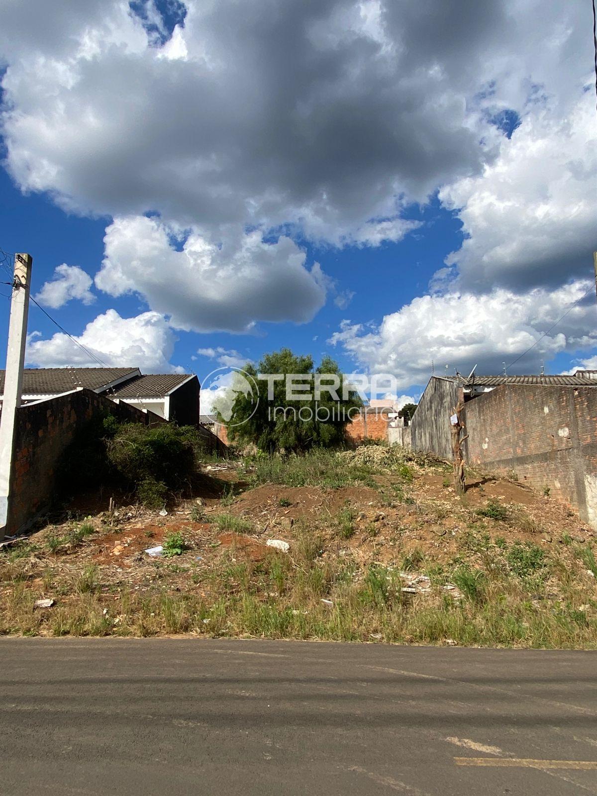 TERRENO A VENDA, MORRO ALTO, COM EXCELENTE LOCALIZAO, GUARAPUAVA-PR