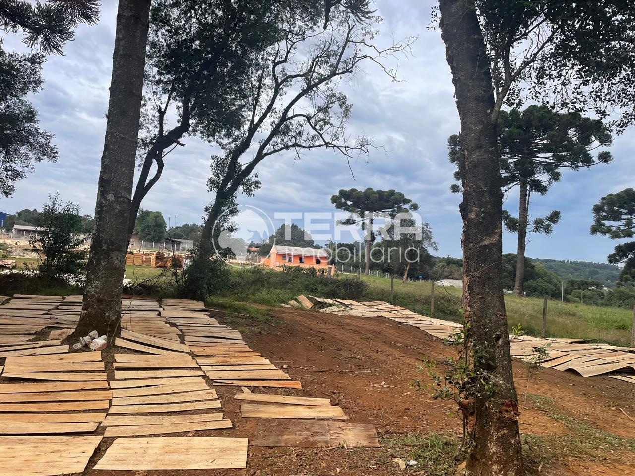 LOTE INDUSTRIAL A VENDA ATRAS DA POLIJUTA