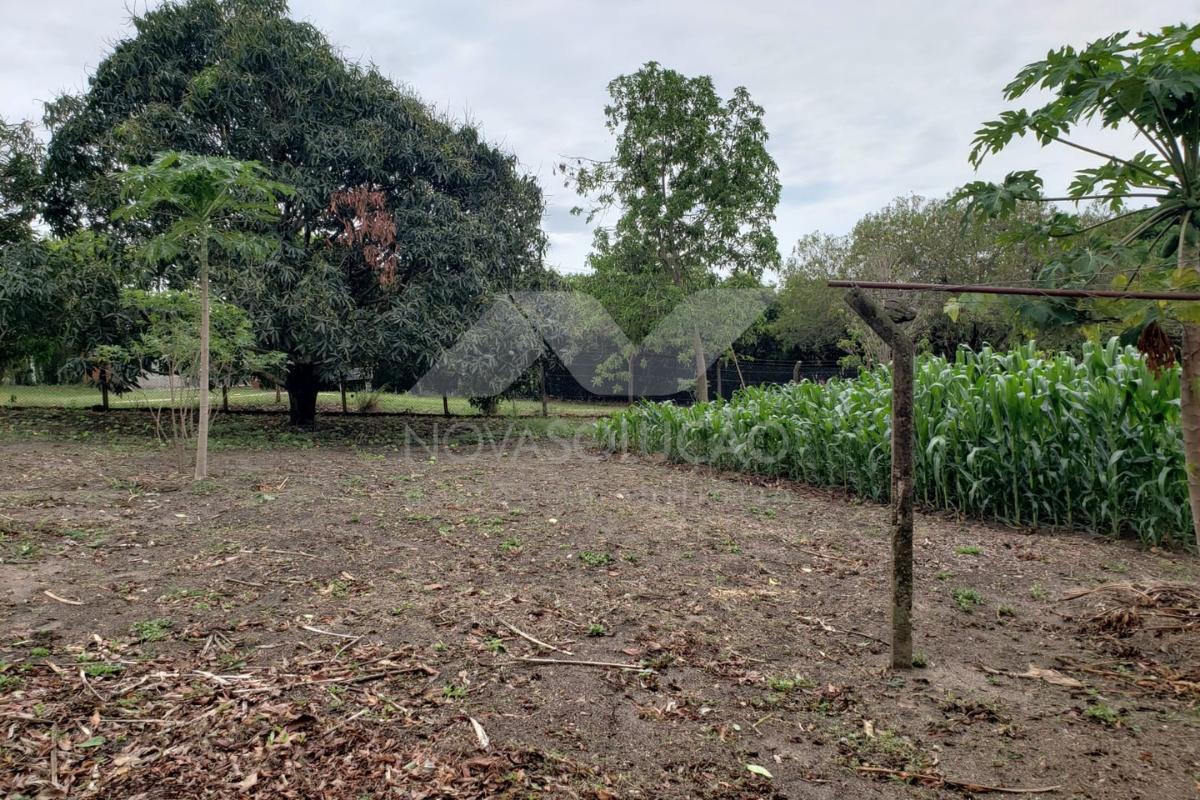 Chcara com 2 dormitrios  venda, SANTA MARIA DA SERRA - SP