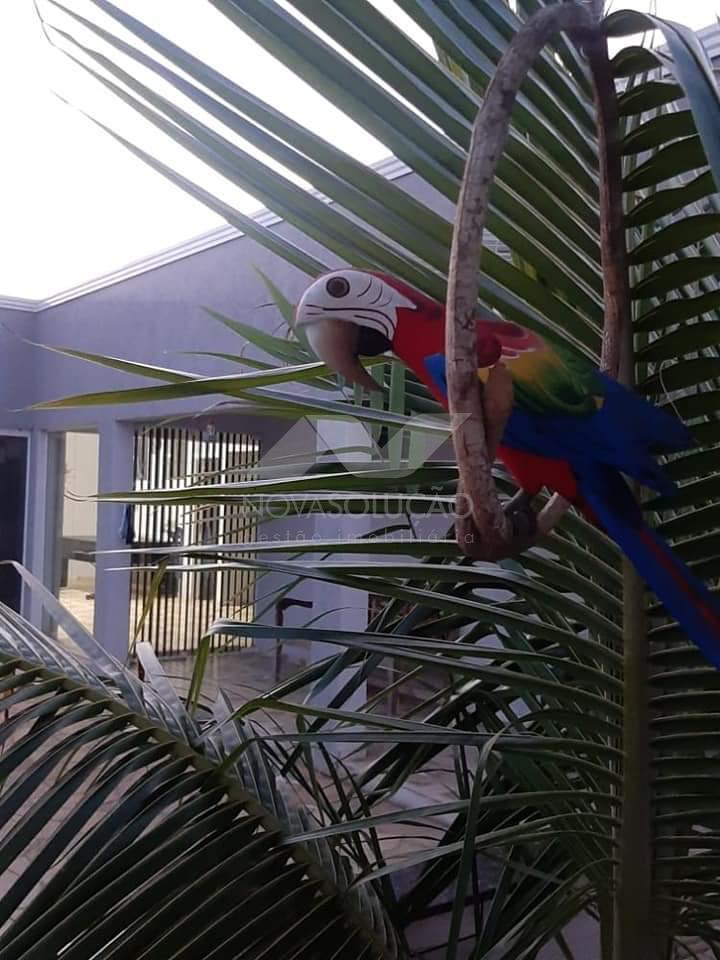 Chcara  venda, Bairro dos Frades, LIMEIRA - SP