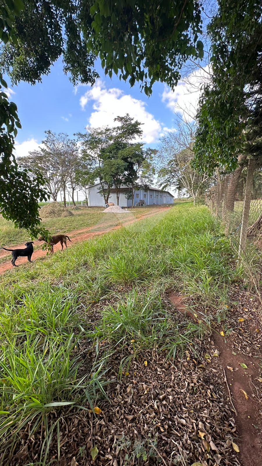 Comercial  venda, Bairro Dos Pires, LIMEIRA - SP