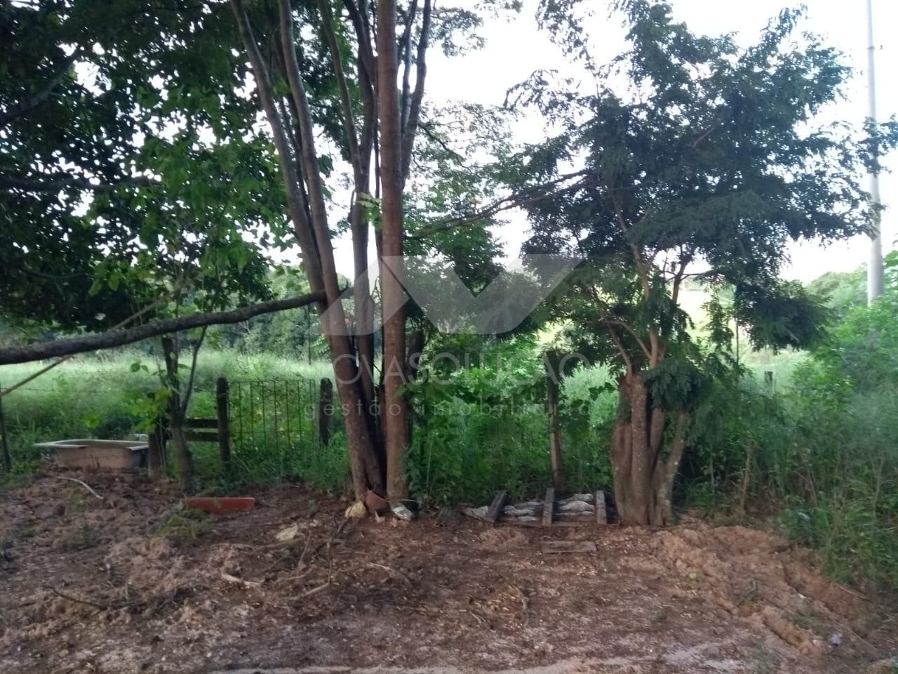 Terreno  venda, Condomnio Estncia Tamandu, SANTA MARIA DA SERRA - SP