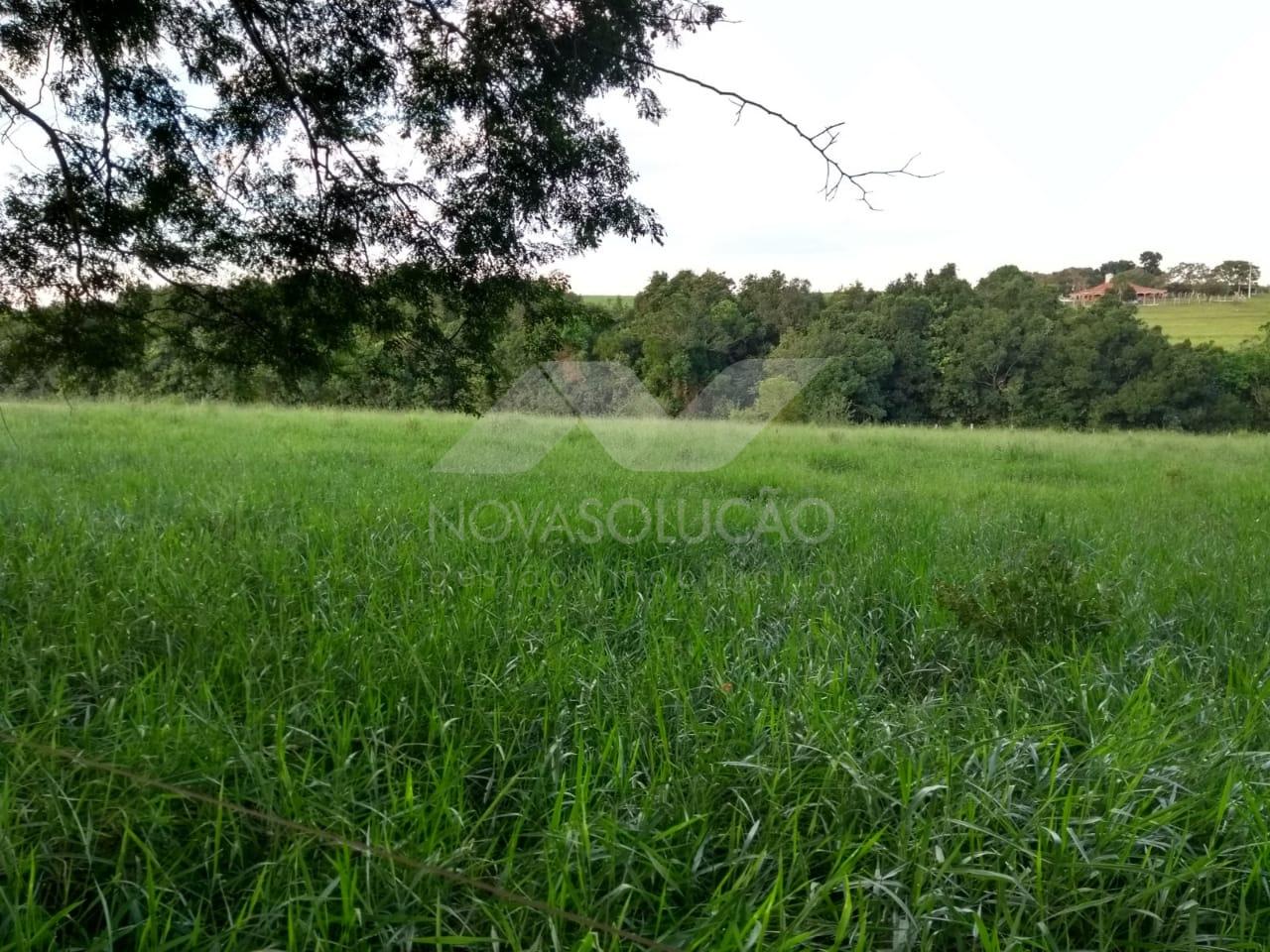 Terreno  venda, Condomnio Estncia Tamandu, SANTA MARIA DA SERRA - SP