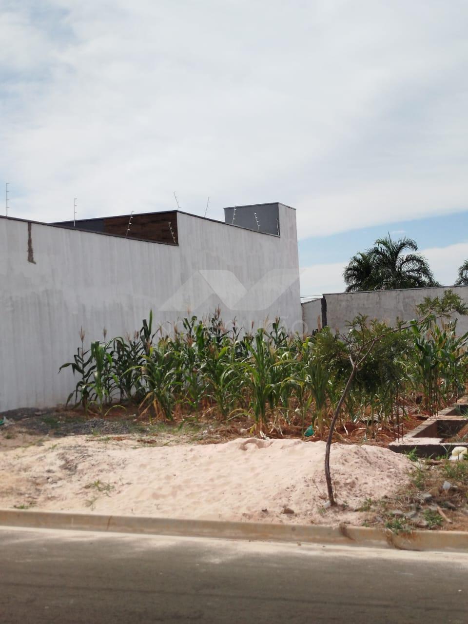 Terreno, Jardim Campo Verde, LIMEIRA - SP