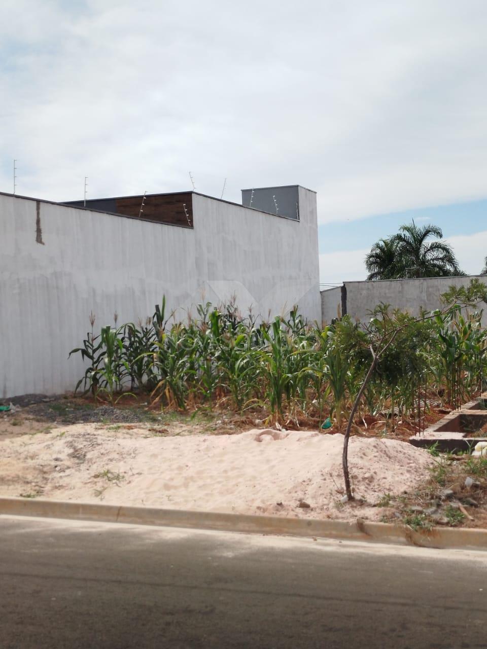 Terreno, Jardim Campo Verde, LIMEIRA - SP