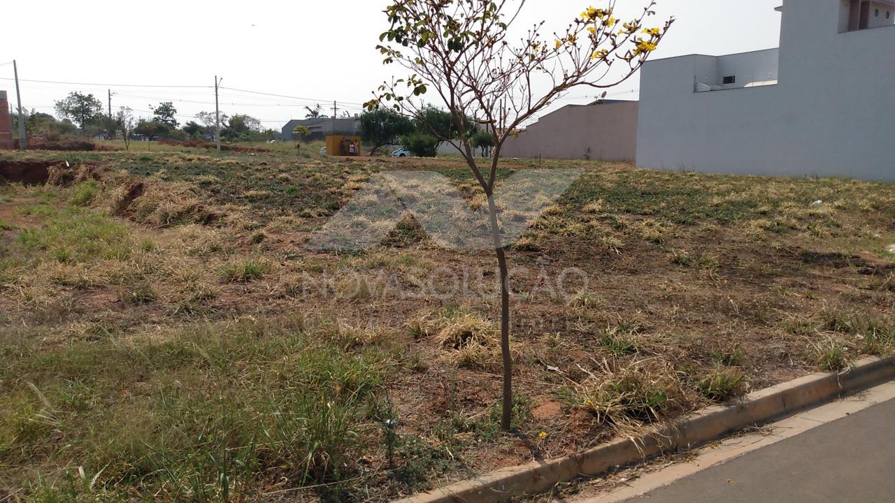 Terreno  venda, Jardim Campo Verde, LIMEIRA - SP