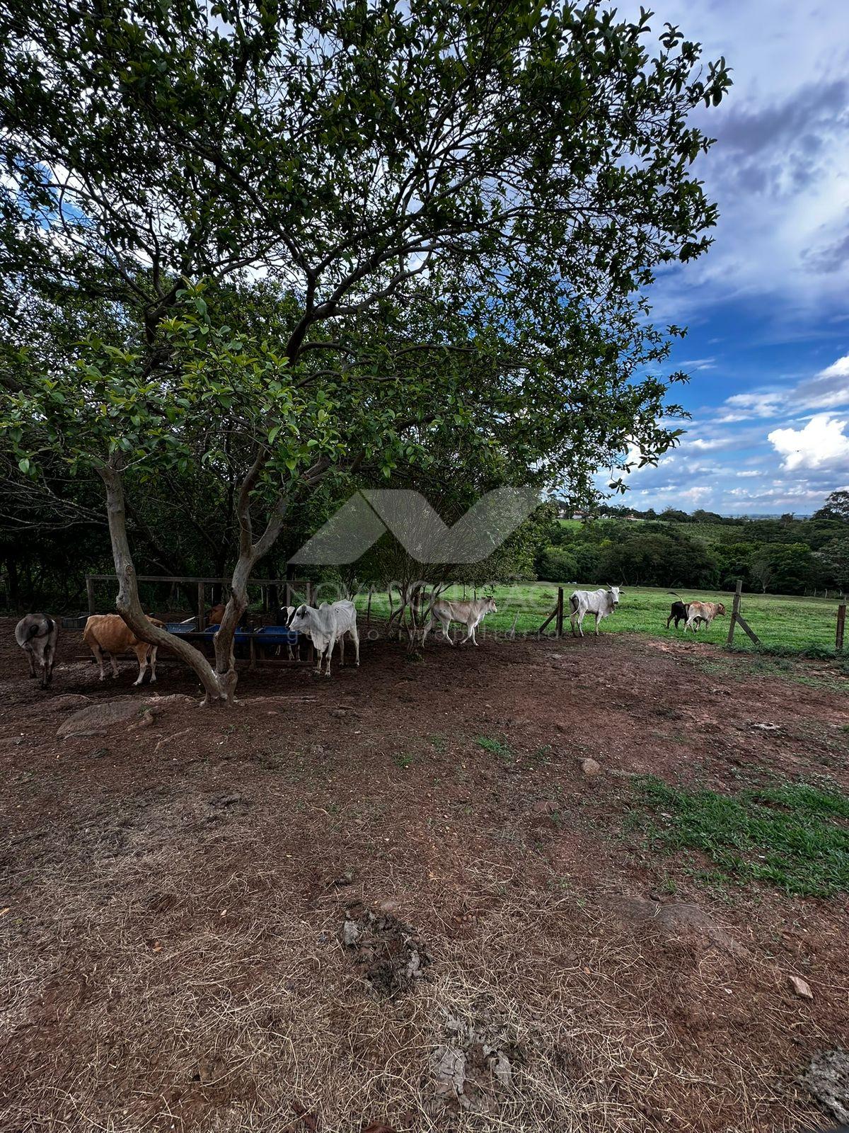 Stio, Sitio Leme, LIMEIRA - SP