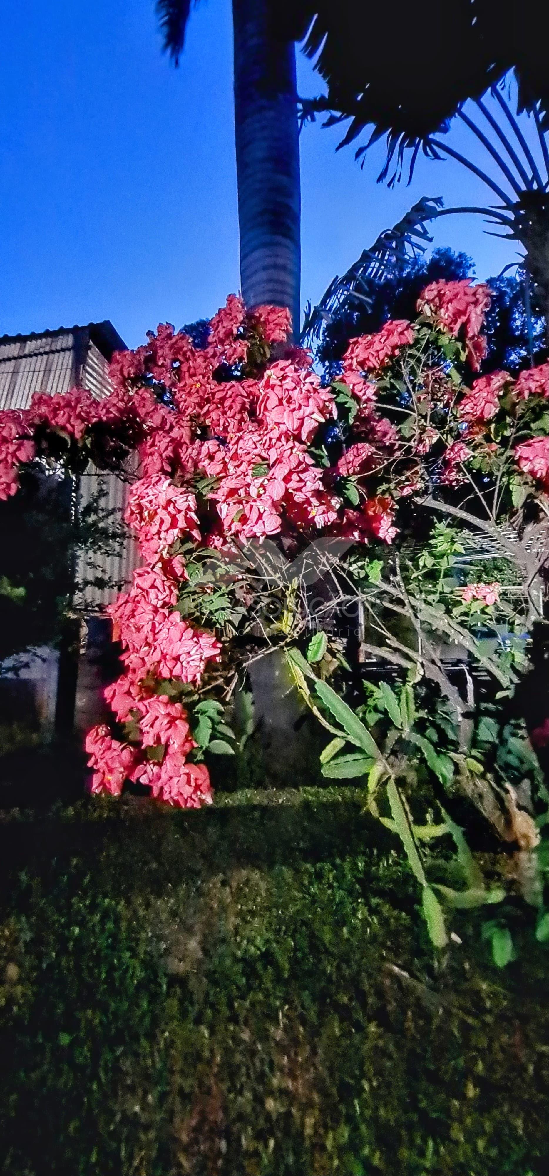 Chcara  venda, Bairro dos Loiolas, LIMEIRA - SP