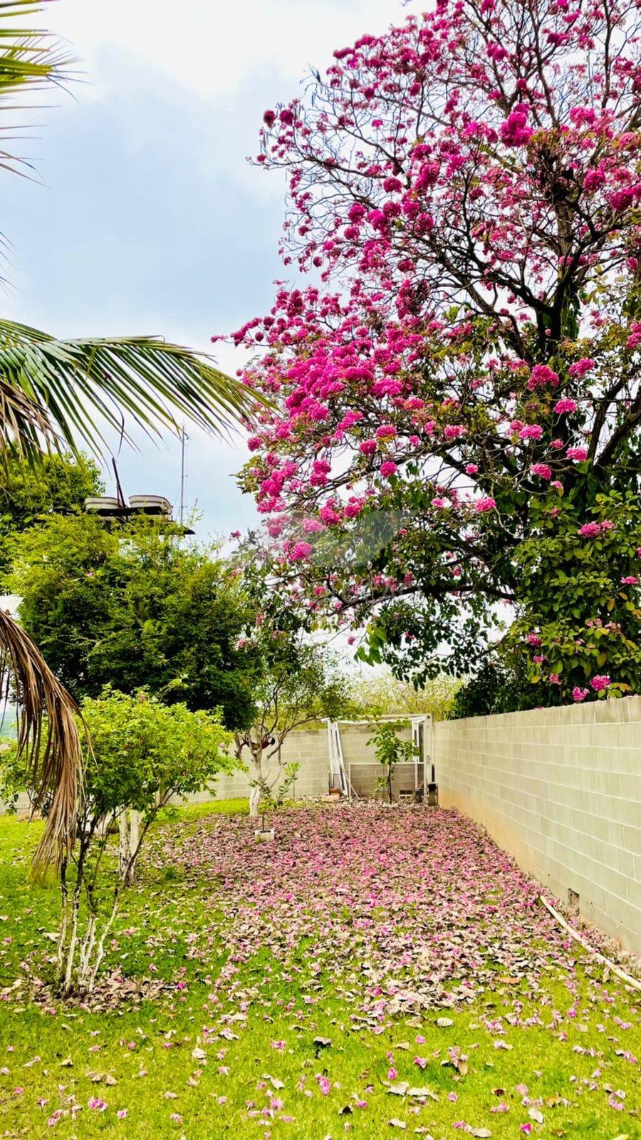 Chcara com 4 dormitrios  venda, Bairro Dos Pires, LIMEIRA - SP