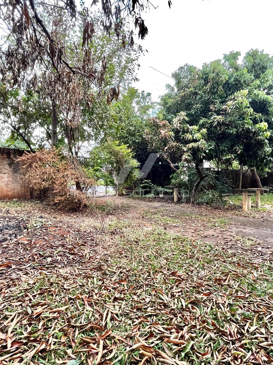 Barraco  venda, Jardim Morro Branco, LIMEIRA - SP