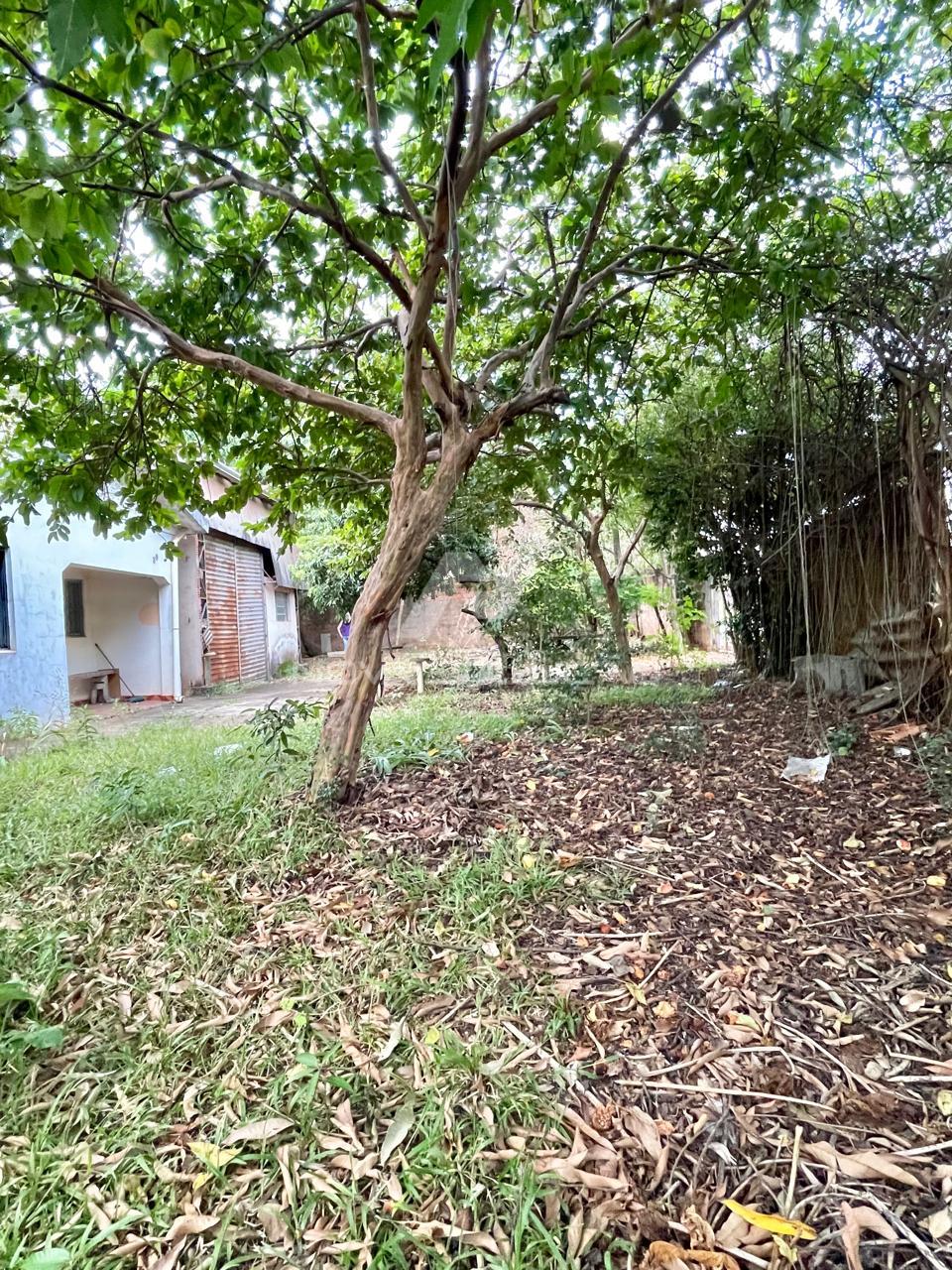 Barraco  venda, Jardim Morro Branco, LIMEIRA - SP