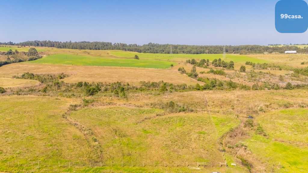 Terreno à venda, 20015 m  em São Luiz do Purunã - Balsa Nova PR