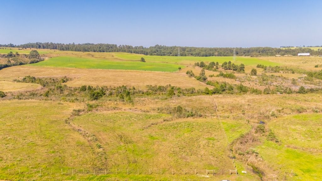 Terreno à venda, 20830 m  em São Luiz do Puruna - Balsa Nova PR