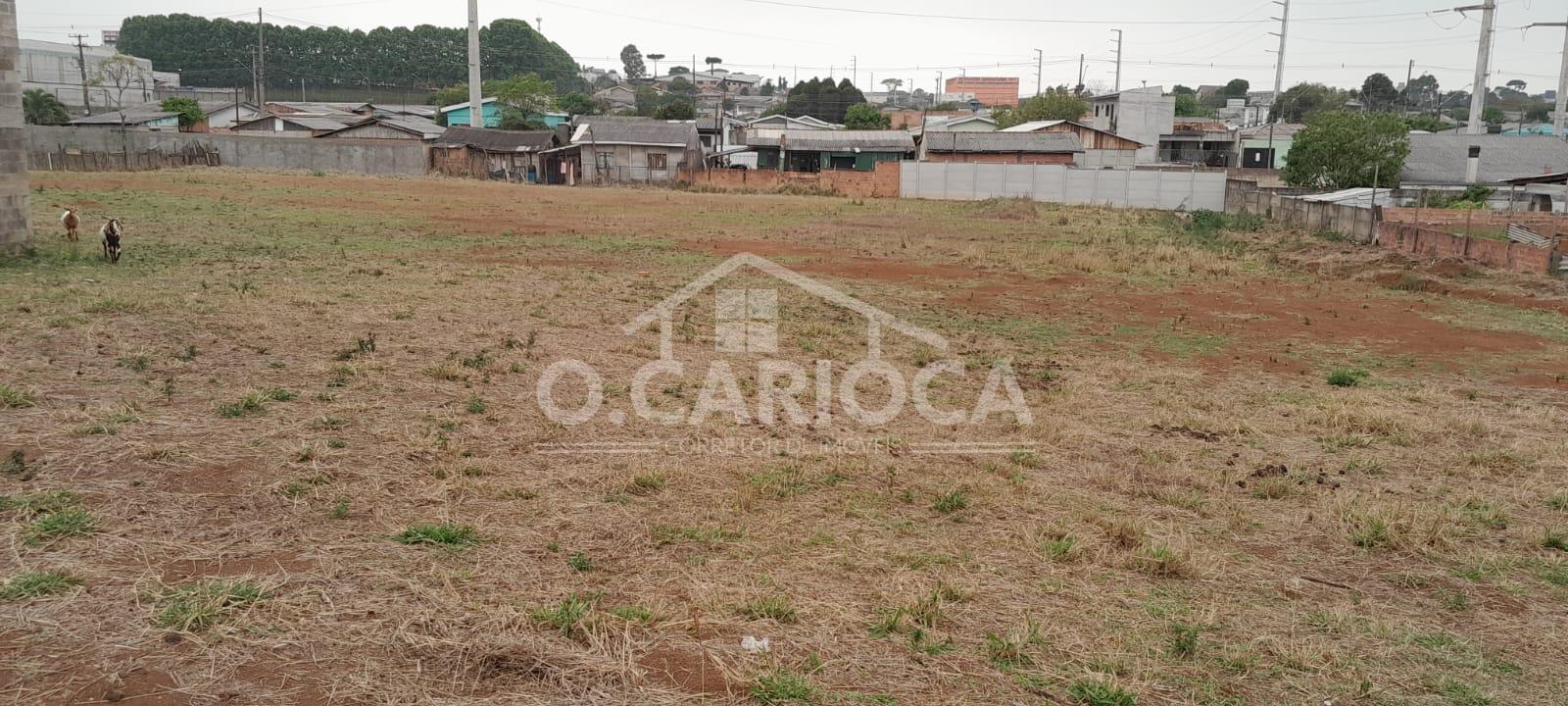 Terreno à venda, Conradinho, GUARAPUAVA - PR