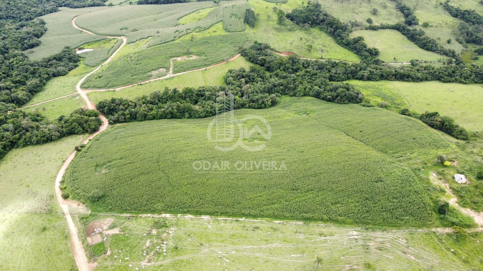 Fazenda  venda, Rural, PASSOS - MG