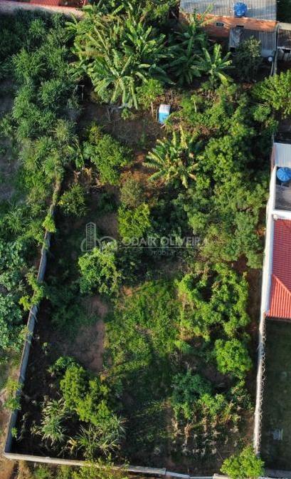 Odair Oliveira Negócios Imobiliários em Passos MG