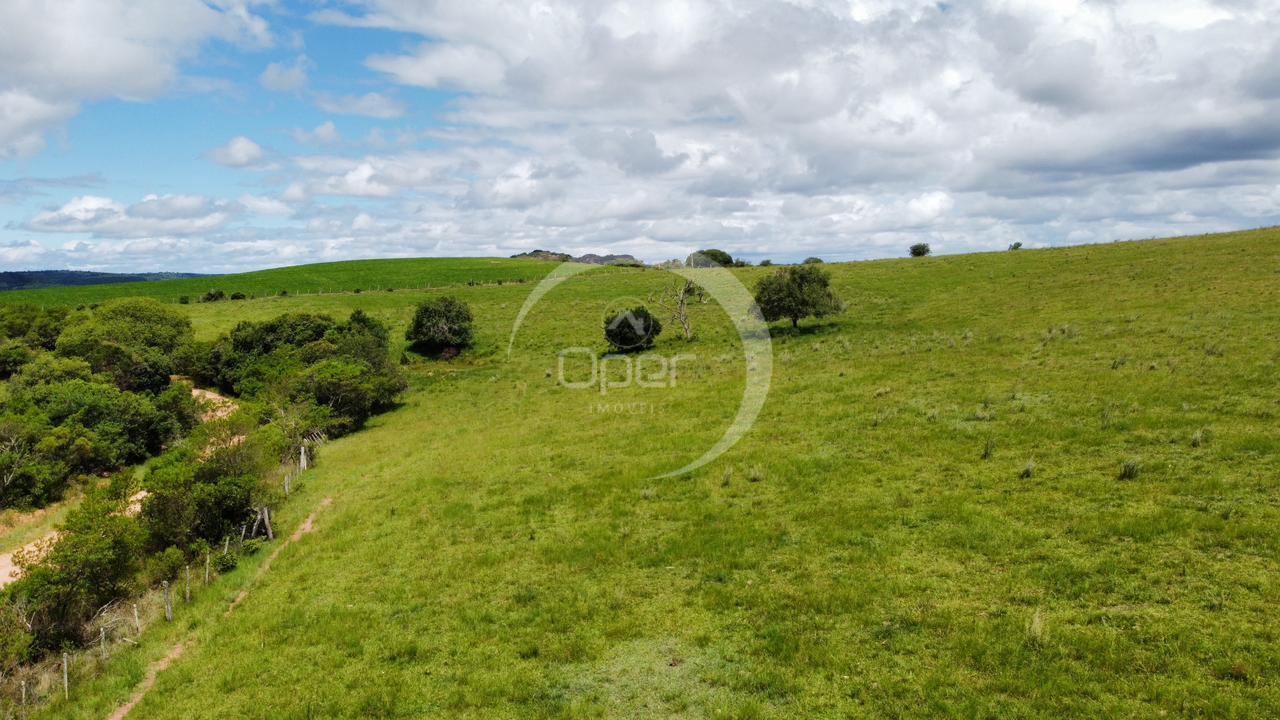 Rural à venda, 36 hectares, Guarda Velha, CAÇAPAVA DO SUL - RS