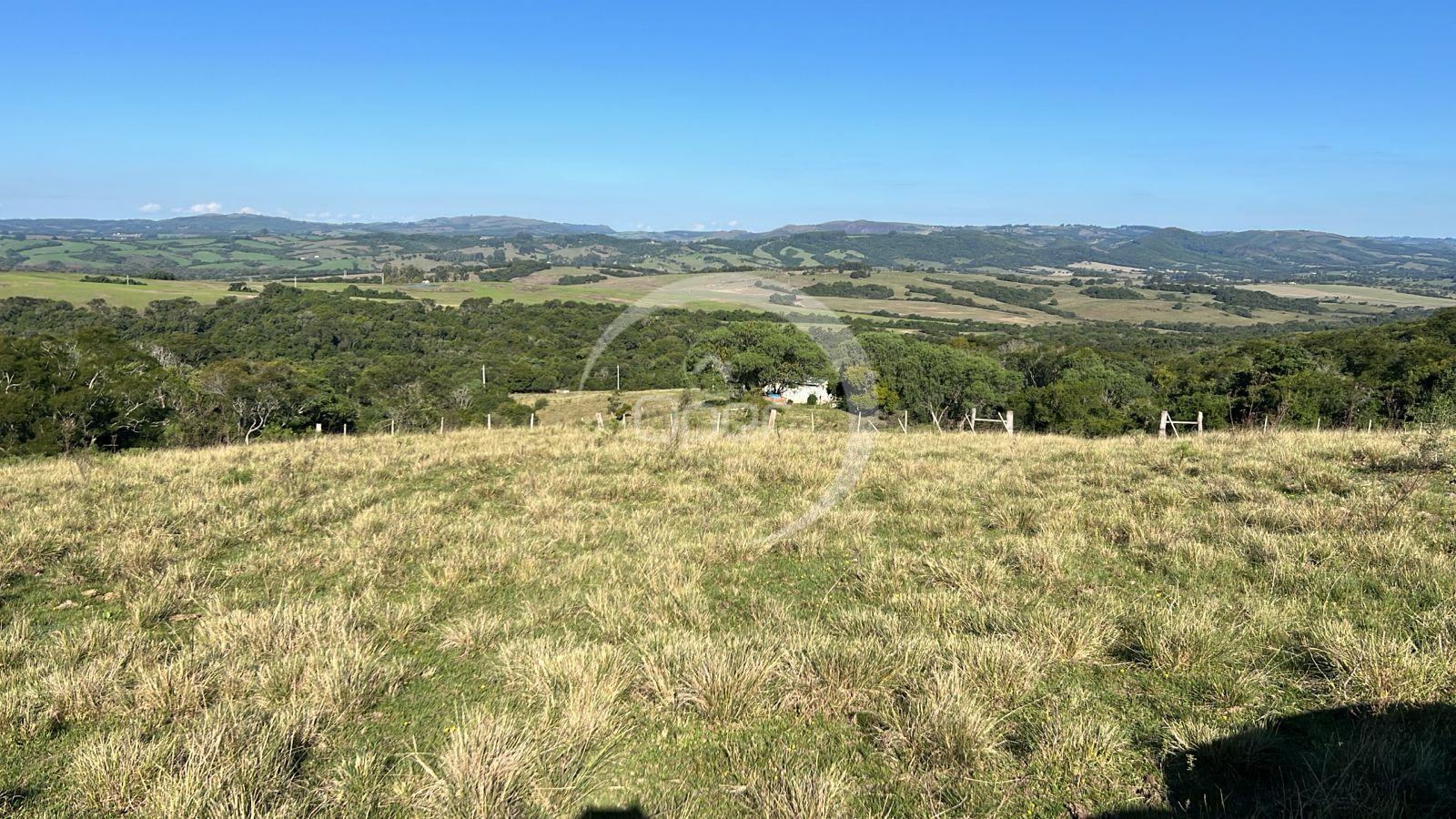 Rural para locação, Rural, CACAPAVA DO SUL - RS