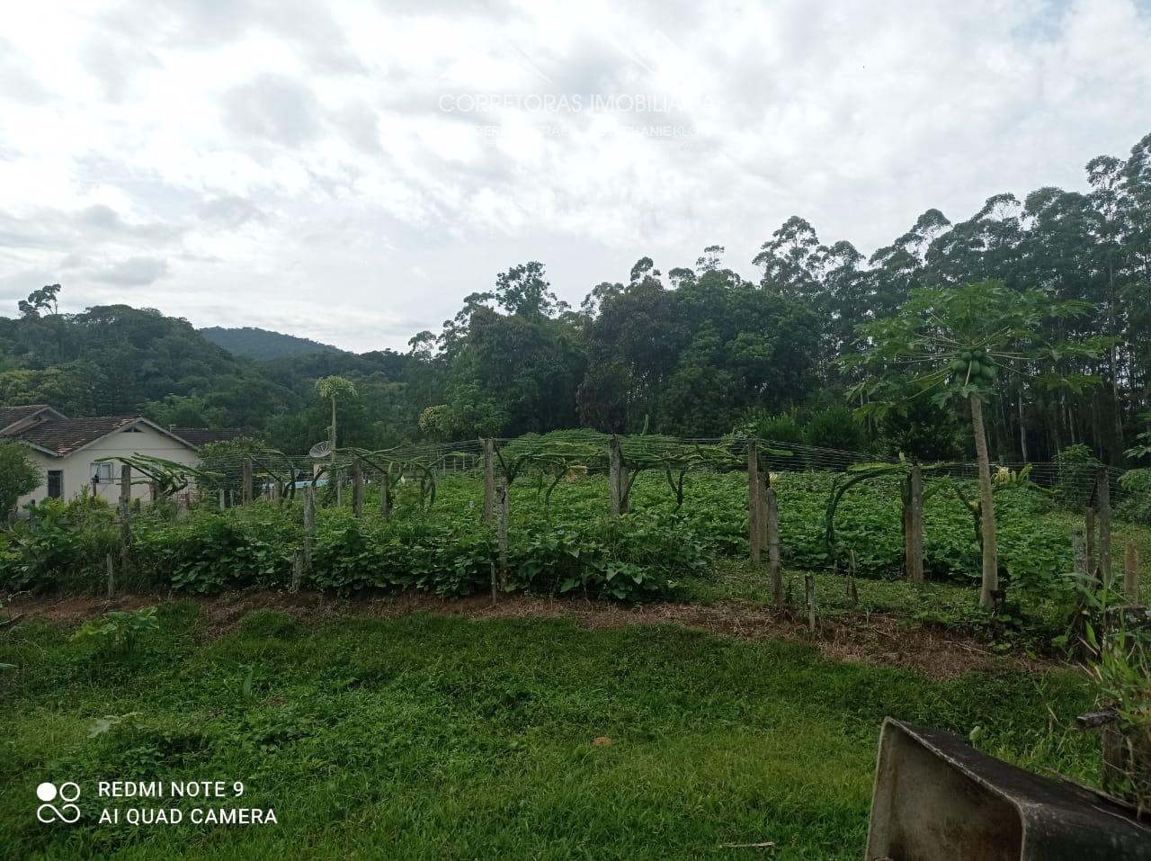 Terreno à venda, 6562 - Foto 7