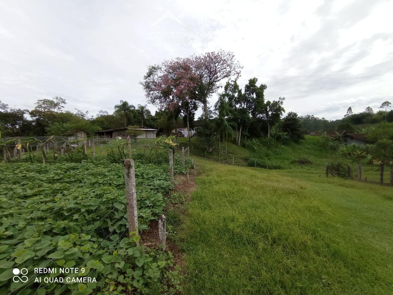 Terreno à venda, 6562 - Foto 12