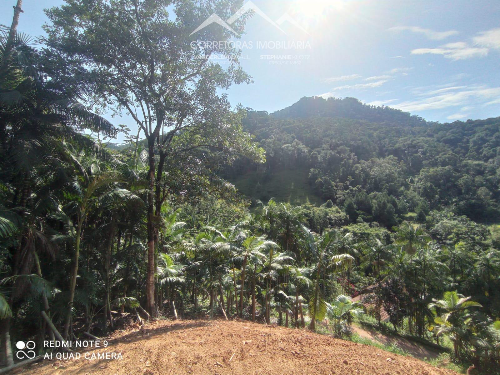 Terreno à venda, 300 - Foto 10