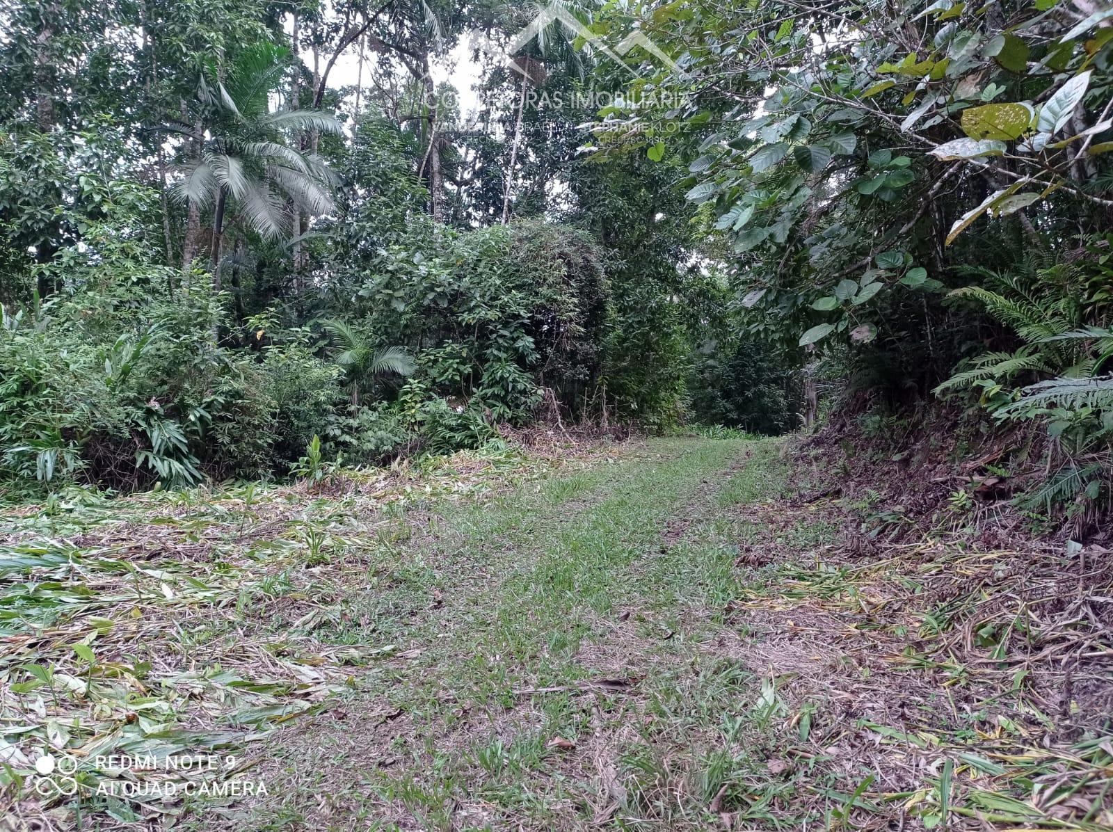 Terreno à venda, 33000 - Foto 4