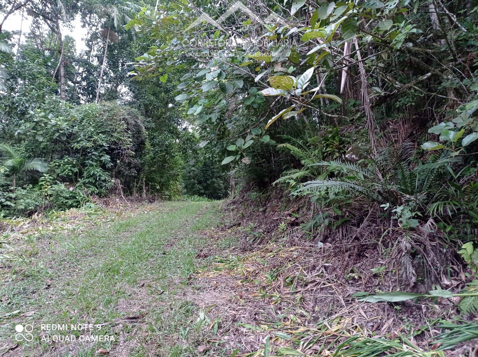 Terreno à venda, 33000 - Foto 5