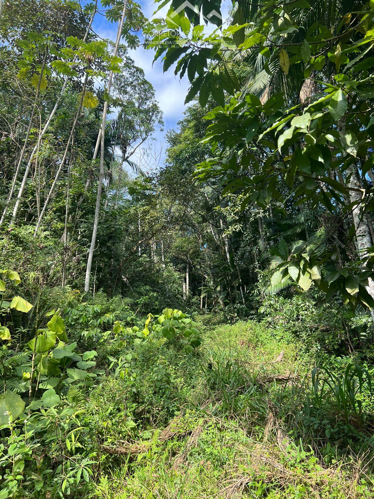 Terreno à venda, 51032 - Foto 6