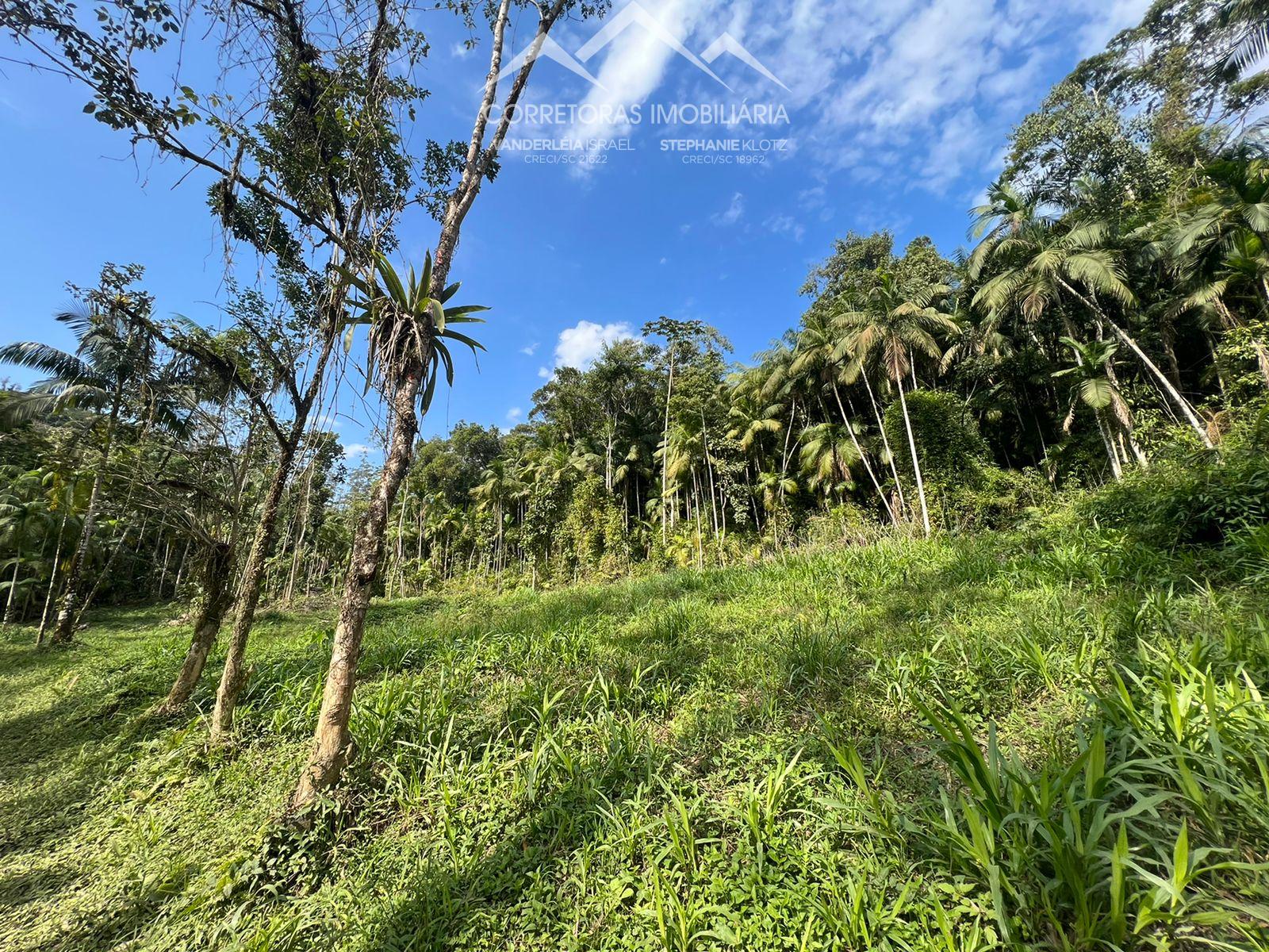 Terreno à venda, 27865 - Foto 2