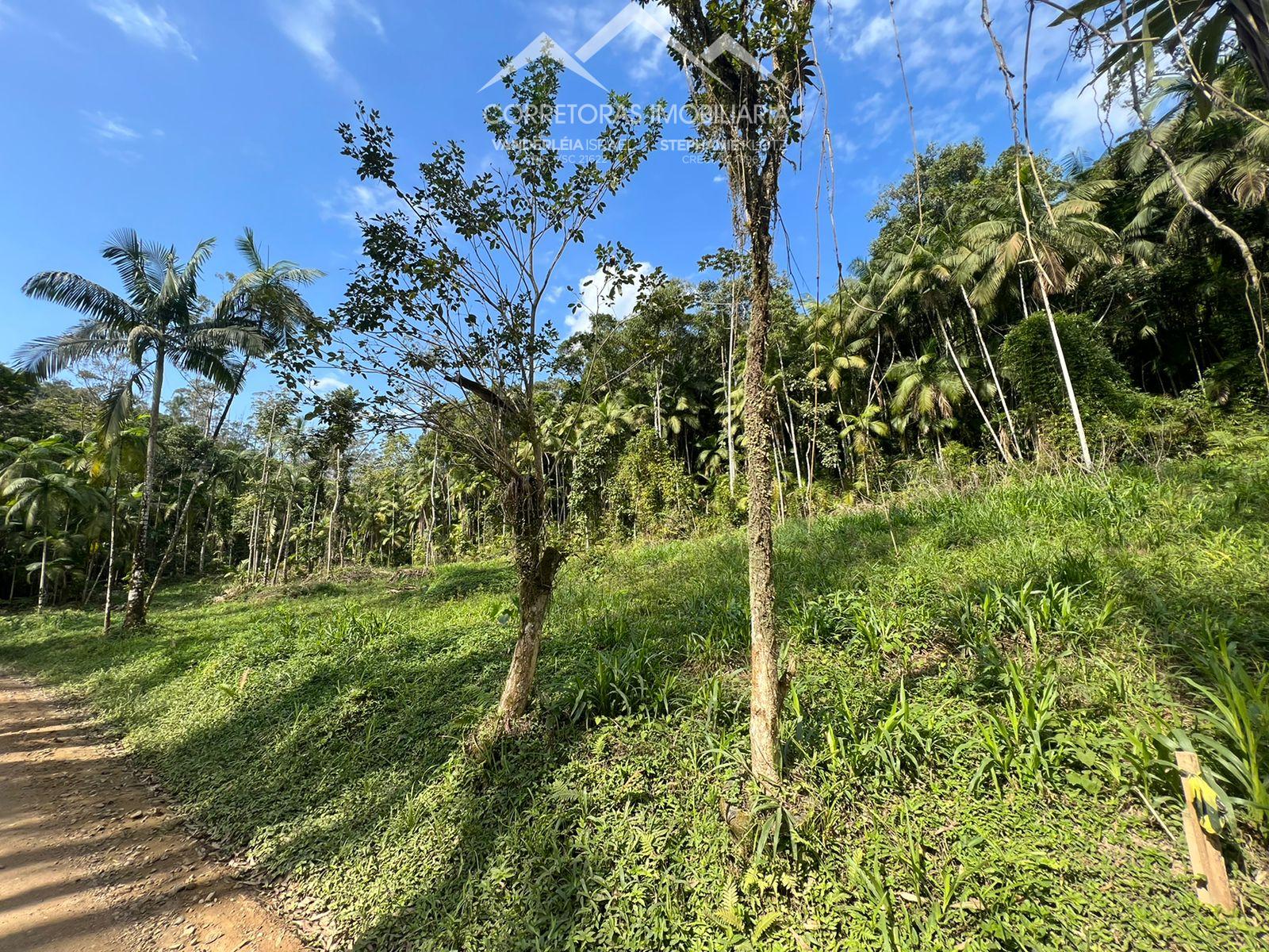 Terreno à venda, 27865 - Foto 3