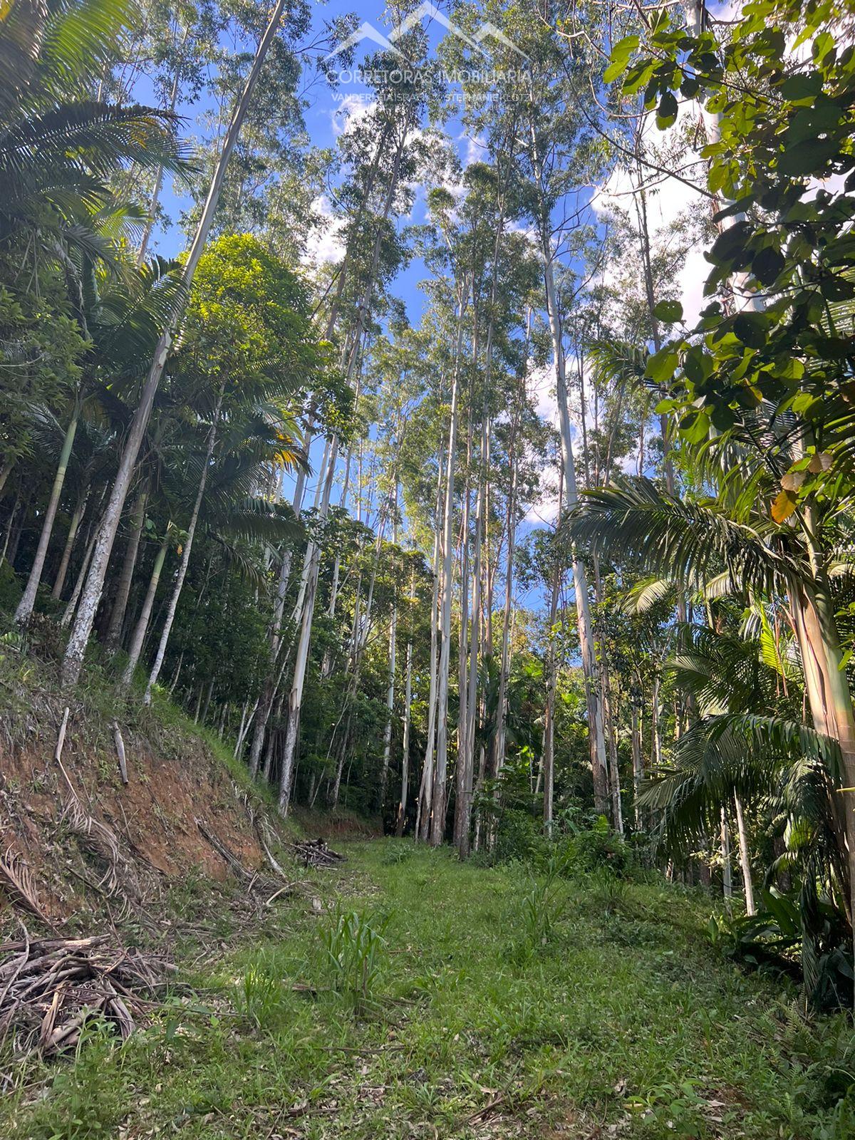 Terreno à venda, 17158 - Foto 2