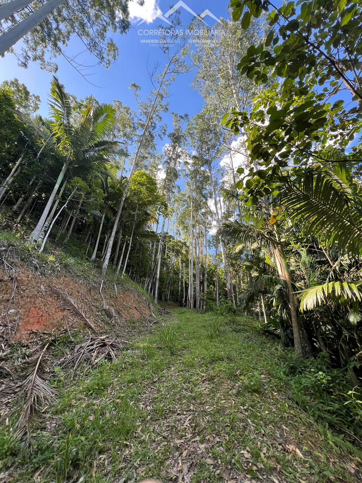 Terreno à venda, 17158 - Foto 5