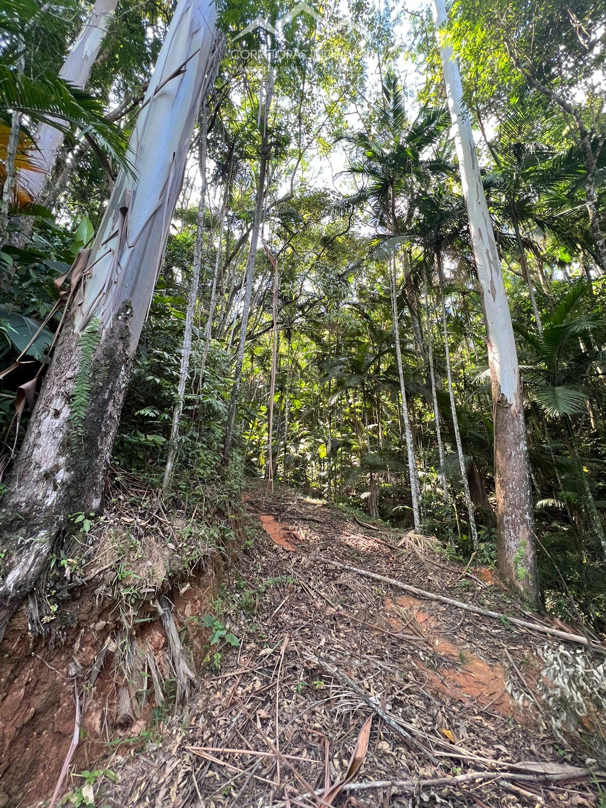 Terreno à venda, 17158 - Foto 6