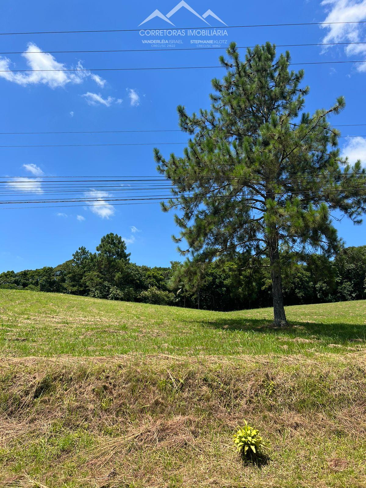 Terreno à venda, 20000 - Foto 3