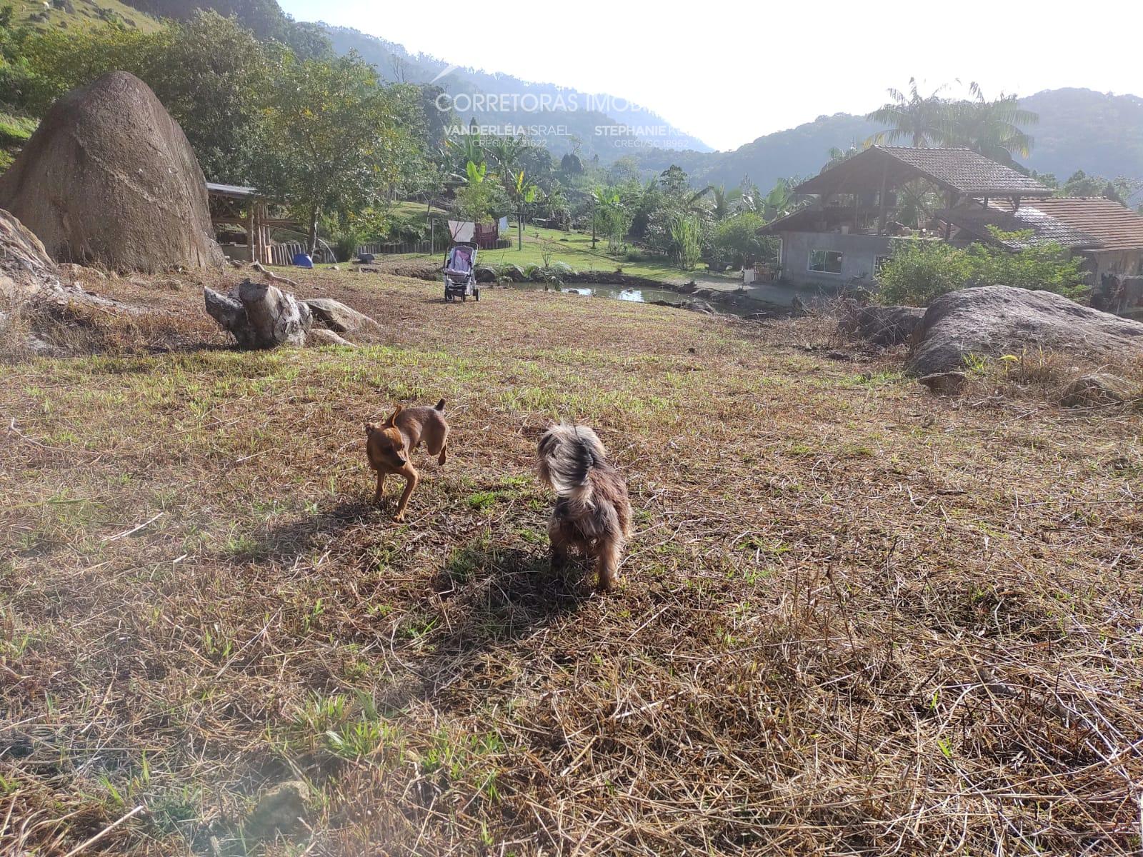 Terreno à venda, 330092 - Foto 9