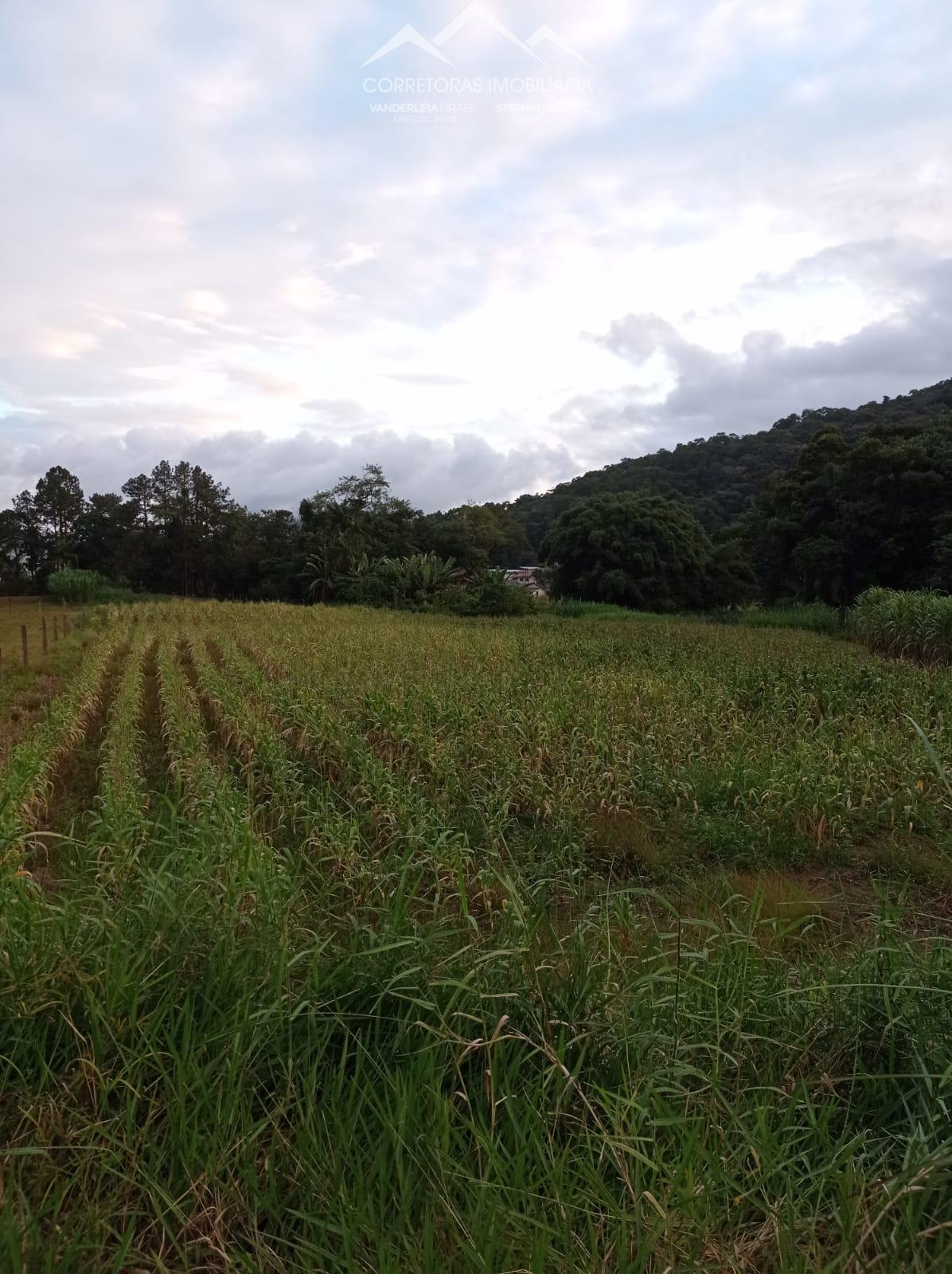 Terreno à venda, 2756 - Foto 1