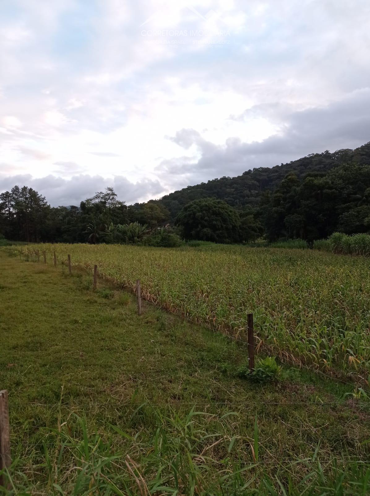 Terreno à venda, 2756 - Foto 4