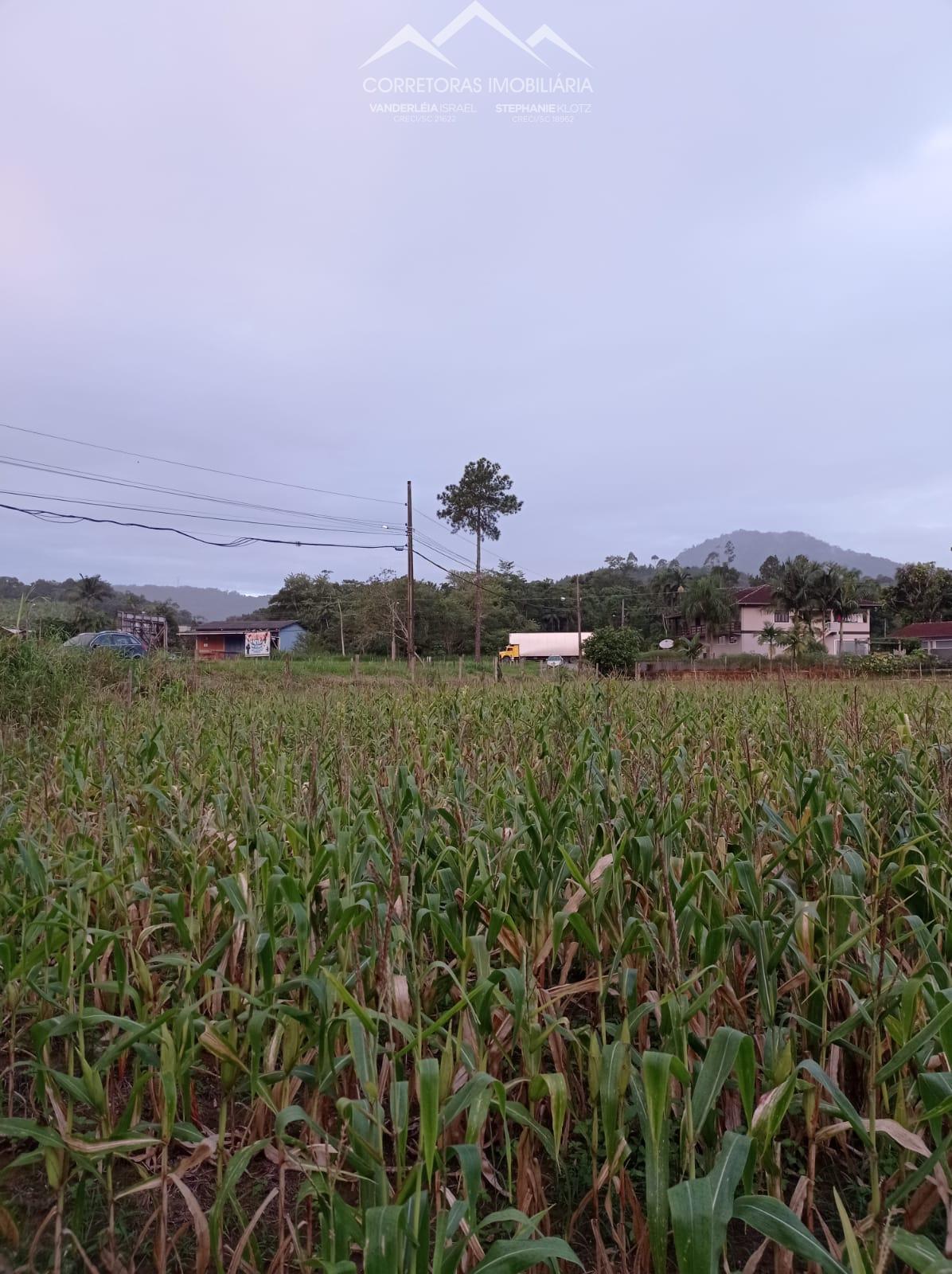 Terreno à venda, 2756 - Foto 5