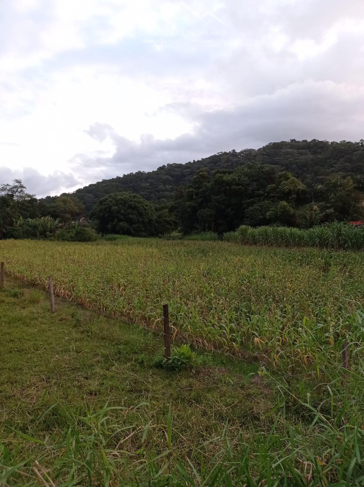 Terreno à venda, 2756 - Foto 7