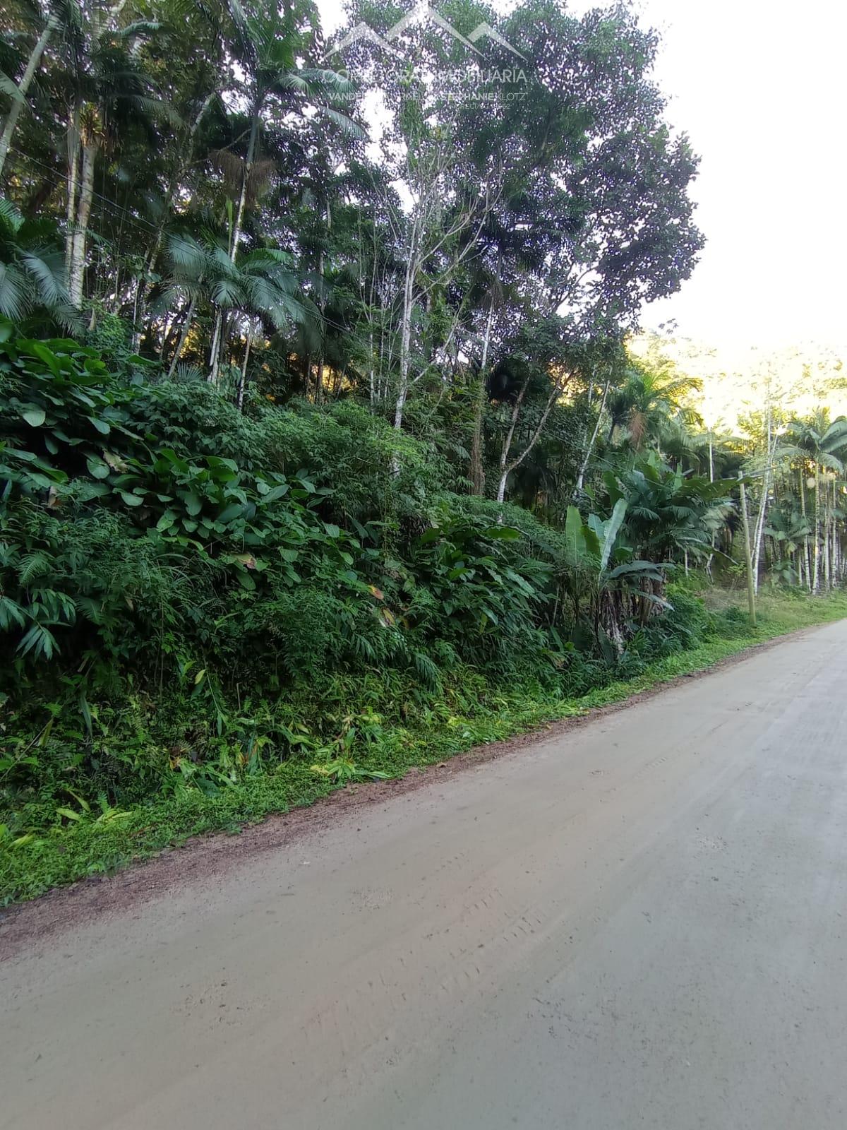 Terreno à venda, 10000 - Foto 2