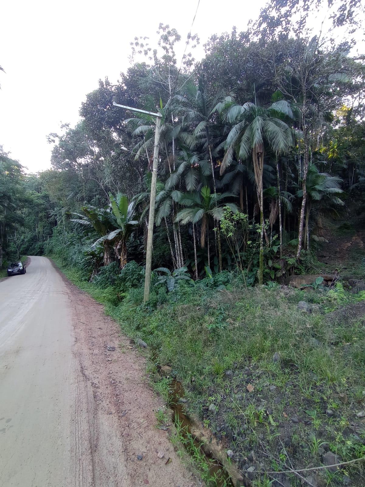 Terreno à venda, 10000 - Foto 3