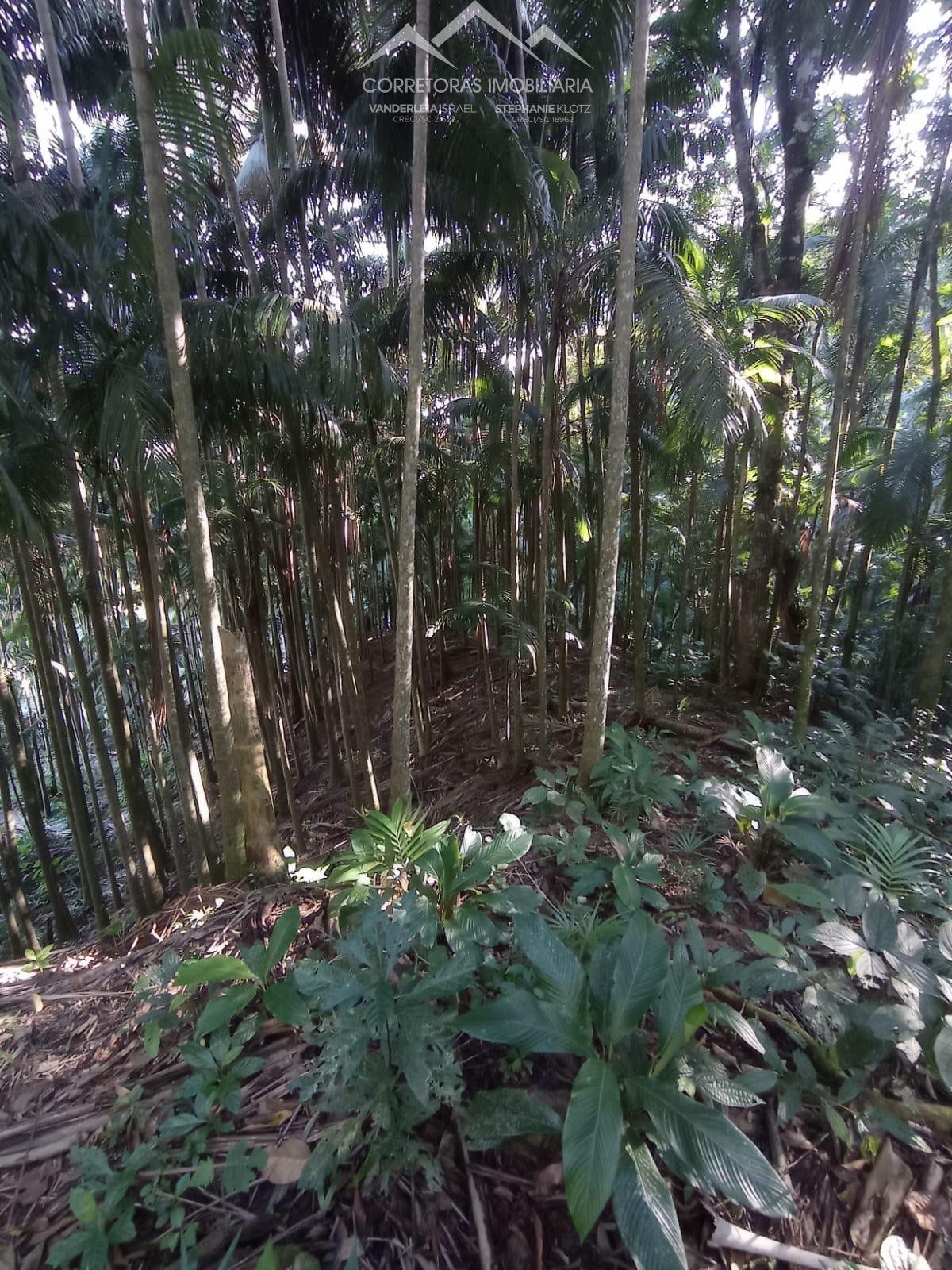 Terreno à venda, 10000 - Foto 5