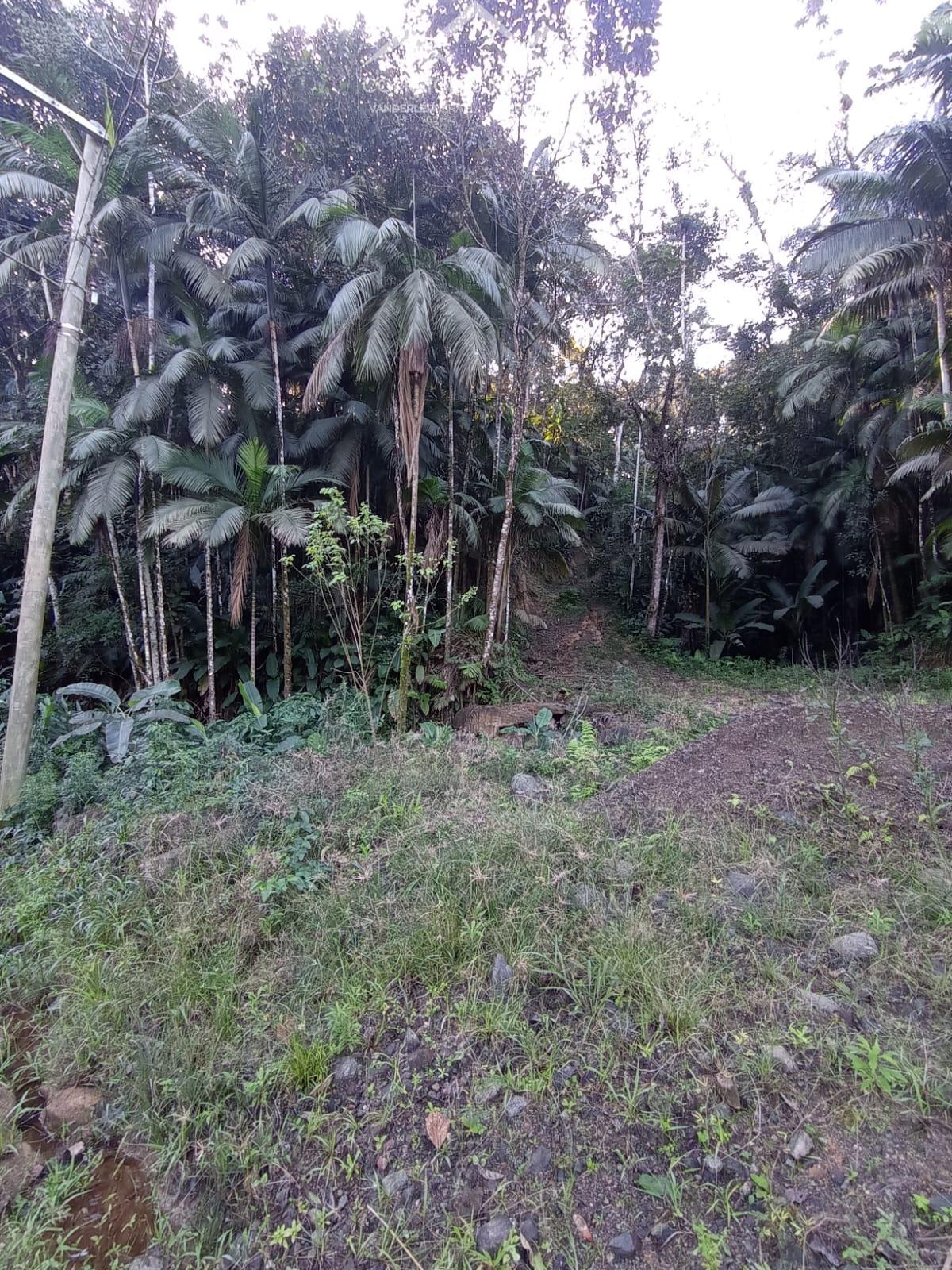 Terreno à venda, 10000 - Foto 6