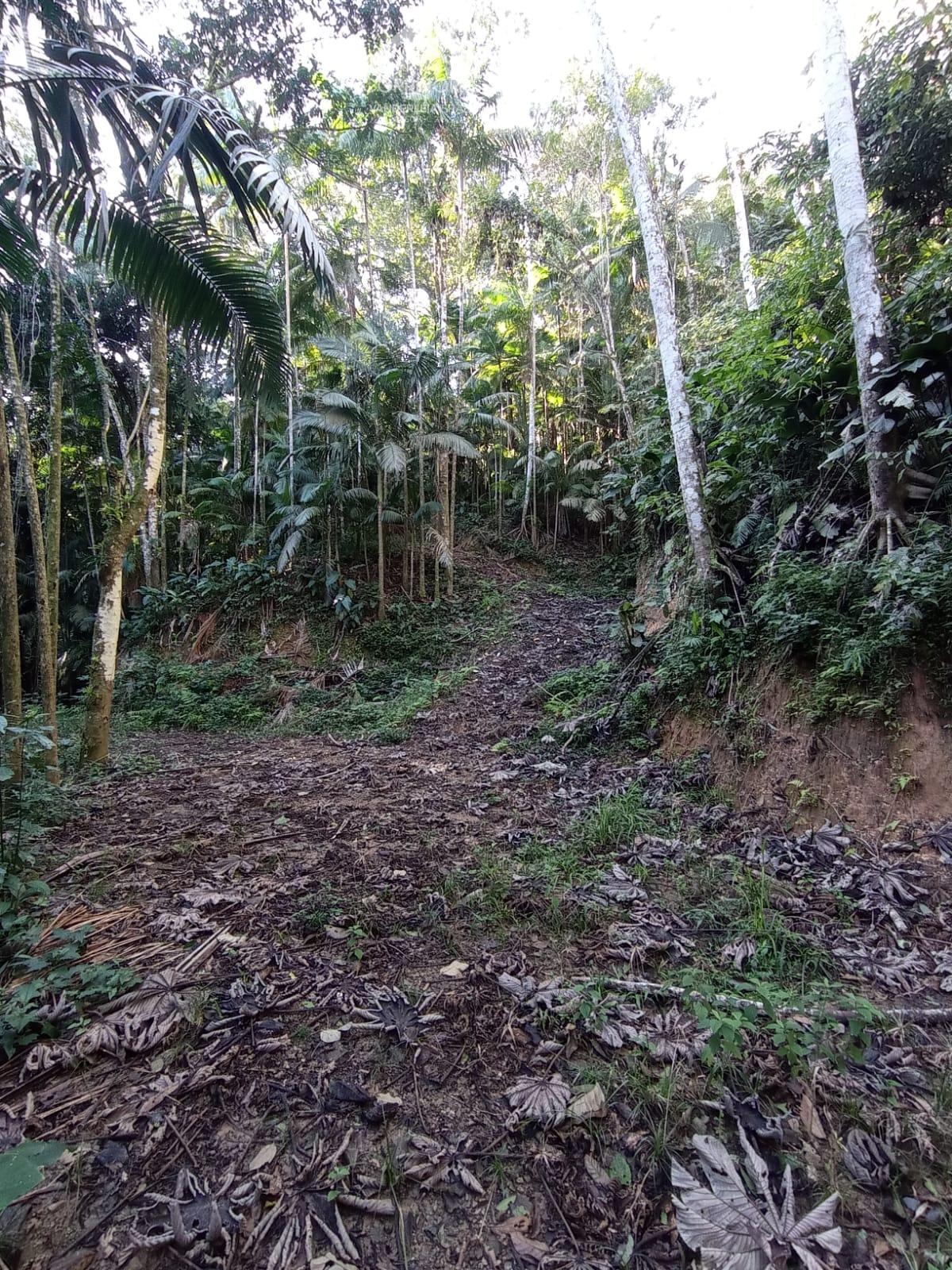 Terreno à venda, 10000 - Foto 7