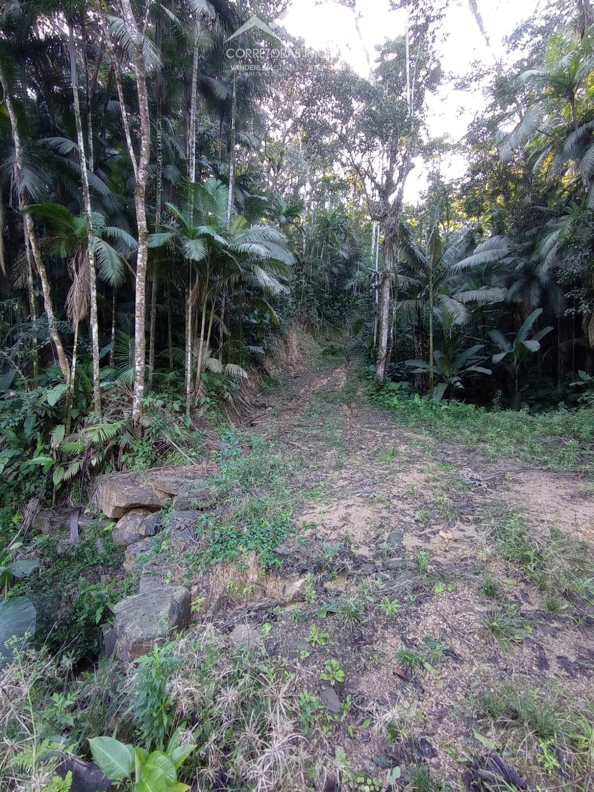 Terreno à venda, 10000 - Foto 8